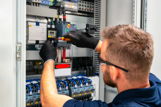 Best Electrical Upgrades for Homes  in Oquawka, IL