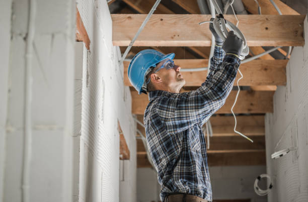 Best Residential Electrician Services  in Oquawka, IL